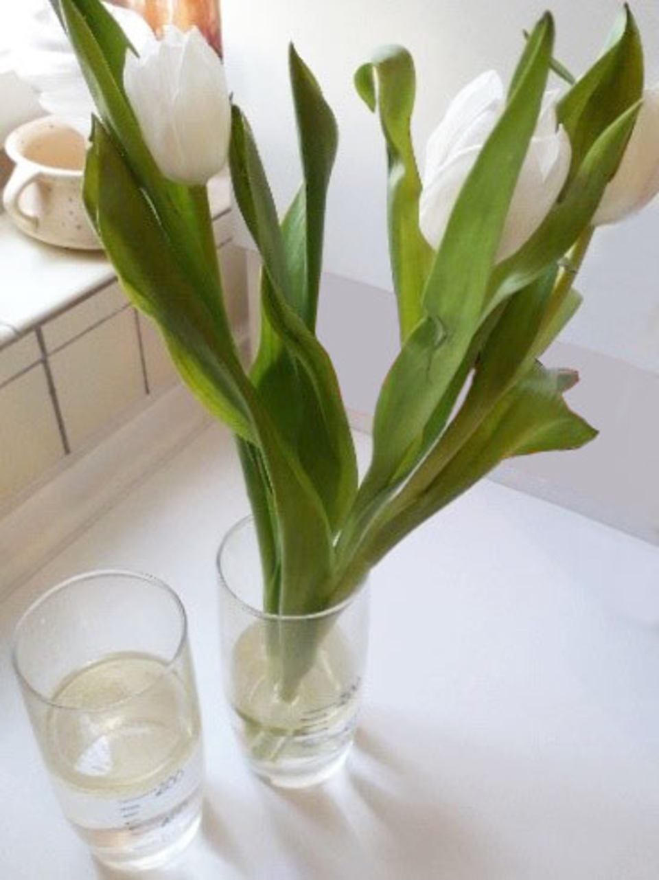 Das Bild zeigt eine Glaskaraffe mit Wasser und zwei Gl&auml;ser, in denen frische, wei&szlig;e Tulpen in einem Glasbeh&auml;lter arrangiert sind. Die lebendigen Tulpen verleihen der Szene eine frische und einladende Atmosph&auml;re.