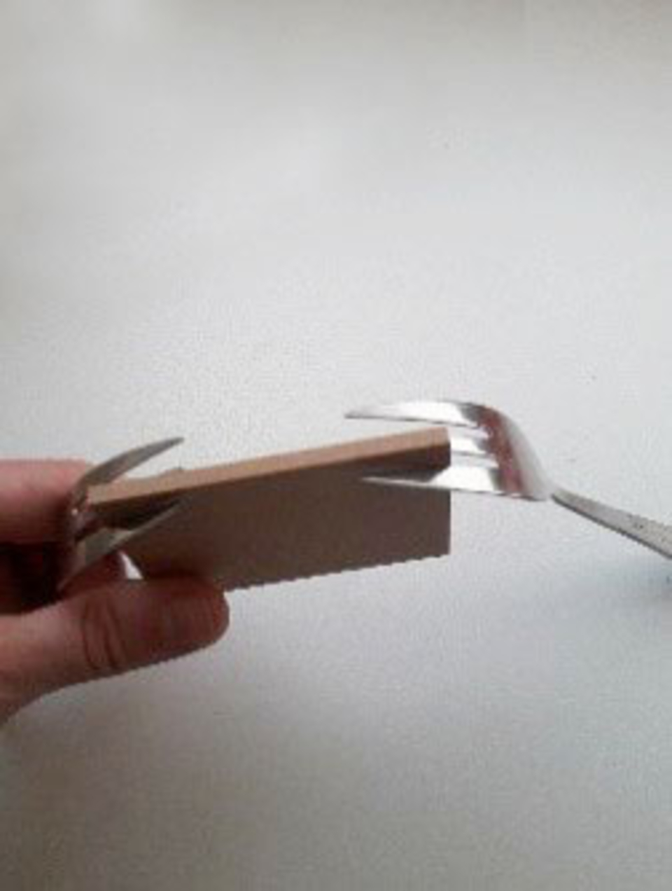 Das Bild zeigt eine Hand, die ein Konstrukt aus zwei Gabeln h&auml;lt, die wiederum eine kleine Holzplatte zusammenhalten. Es scheint sich um ein einfaches physikalisches Experiment zu handeln, das f&uuml;r den Bildungsbereich geeignet ist.
