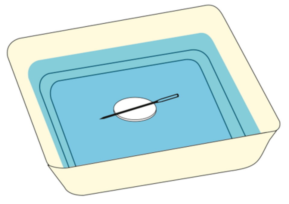 Das Bild zeigt ein Beh&auml;ltnis mit einer Wasserfl&auml;che, in dem ein kleiner Teller mit einer darin liegenden Nadel platziert ist. Das Design ist einfach und eignet sich gut f&uuml;r experimentelle Zwecke im Bildungsbereich.