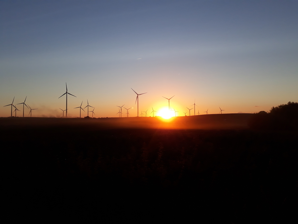 Das Bild zeigt eine atemberaubende Landschaft mit Windkraftanlagen, die majest&auml;tisch silhouettiert im Sonnenuntergang stehen. Der Himmel ist in warmen Farben gehalten, w&auml;hrend der Sonnenstrahl das Feld beleuchtet und eine ruhige Atmosph&auml;re schafft.