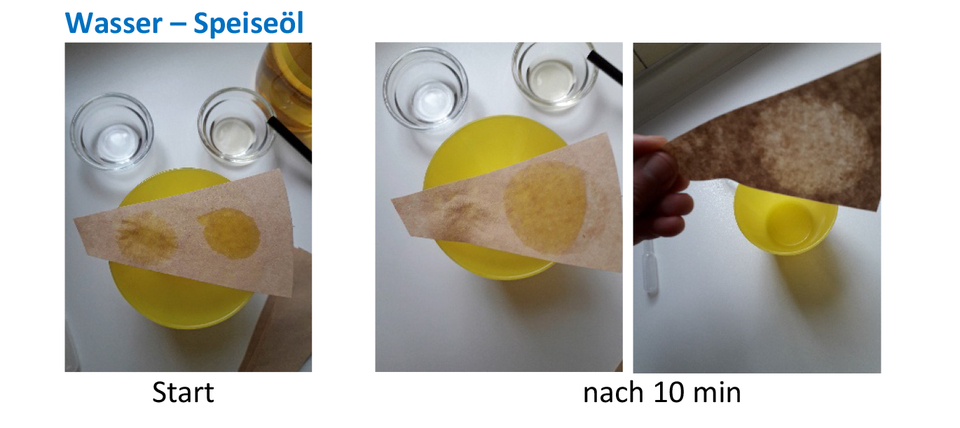 Das Bild zeigt ein Experiment, das den Unterschied zwischen Wasser und Speise&ouml;l veranschaulicht. Es sind zwei Schalen mit Fl&uuml;ssigkeiten und ein Papiertuch zu sehen, das nach 10 Minuten unterschiedliche Flecken von Wasser und &Ouml;l zeigt.