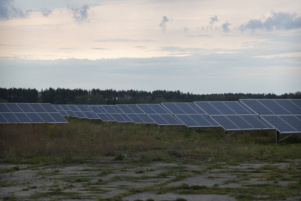 Das Bild zeigt ein Feld mit mehreren Solarzellen zur Nutzung von Sonnenenergie, die in Reihen aufgestellt sind. Im Hintergrund sind Bäume zu sehen, während der Himmel bewölkt ist und die Landschaft eine natürliche, grüne Umgebung widerspiegelt.