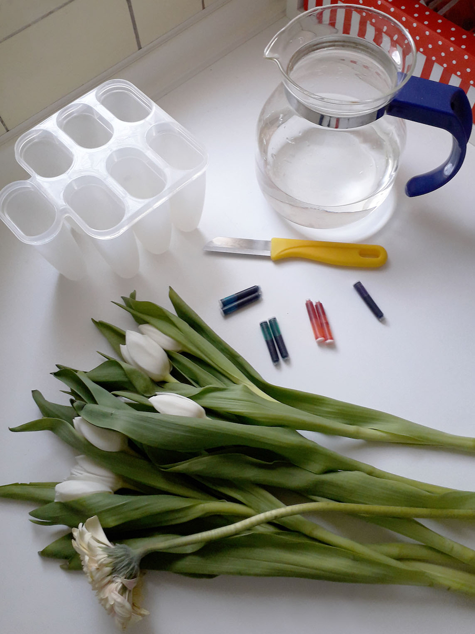 Auf dem Bild sind frische, wei&szlig;e Tulpen mit langen Stielen, eine Kanne mit Wasser, ein Beh&auml;lter f&uuml;r Wasserproben und einige Filzstifte zu sehen. Diese Materialien scheinen f&uuml;r ein Experiment oder eine kreative Aktivit&auml;t im Bildungsbereich genutzt werden z