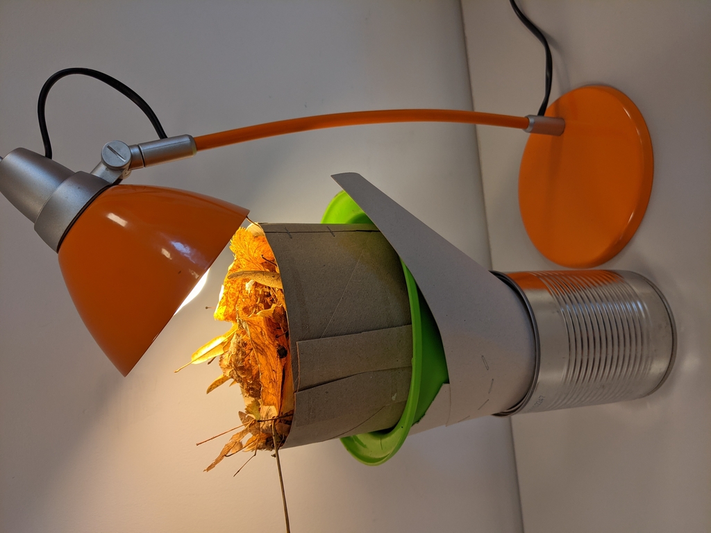 Eine Tischlampe leuchtet auf einen Behälter, der mit trockenen Blättern gefüllt ist. Das ganze Setup besteht aus einer Kombination von Papier, einer grünen Schüssel und einer leeren Dose, die als stabile Basis dient.