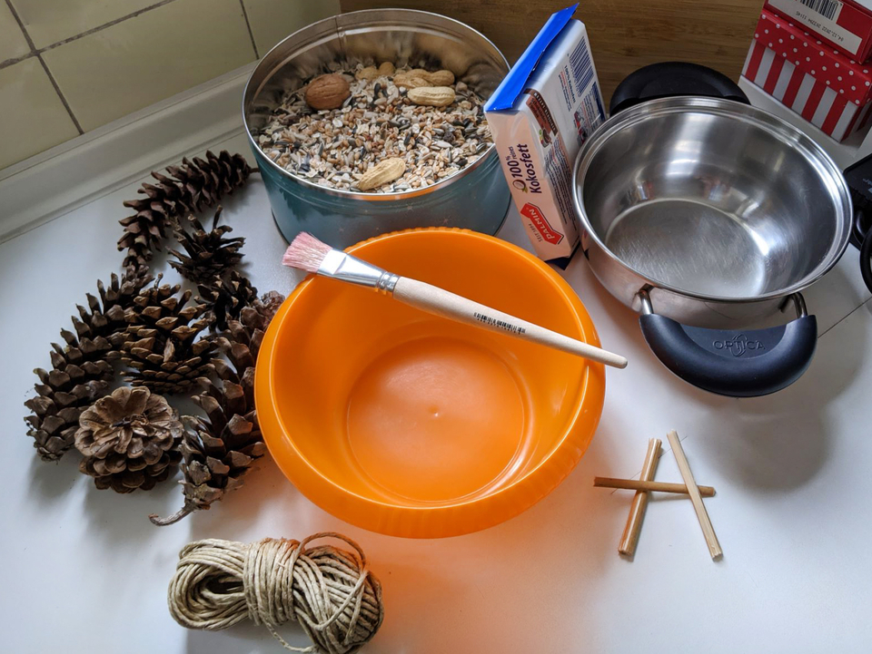 Das Bild zeigt eine Vielzahl von Materialien f&uuml;r Experimente, darunter ein oranger Sch&uuml;ssel, eine Sch&uuml;ssel mit Samen und N&uuml;ssen, Kiefernzapfen, Bastelschnur und Holzst&auml;be. Diese Gegenst&auml;nde k&ouml;nnten f&uuml;r eine Vogelfutterstation verwendet werden.
