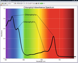 Das Bild zeigt das Absorptionsspektrum von Chlorophyll, dargestellt in einem Diagramm mit Wellenlängen auf der X-Achse und Absorbanz auf der Y-Achse. Die Peaks für Chlorophyll a und b sind markiert und verdeutlichen deren spezifische Absorptionseigenschaf