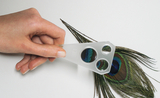 Das Bild zeigt eine Hand, die eine Lupe hält, während sie auf eine bunte Pfauenfeder schaut. Die Lupe hat drei verschiedene Vergrößerungsoptiken und ermöglicht eine genaue Betrachtung der feinen Strukturen der Feder.
