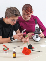 Das Bild zeigt zwei Schüler, die an einem Tisch experimentieren. Der Junge betrachtet eine Blüte durch eine Lupe, während das Mädchen an einem Mikroskop arbeitet, um Details der Proben zu analysieren, umgeben von verschiedenen Werkzeugen und Materialien für ihre Experimente.