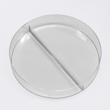 Das Bild zeigt eine transparente Petrischale mit einer vertikalen Trennwand in der Mitte. Diese Schale wird häufig in wissenschaftlichen Experimenten verwendet, um Proben zu isolieren oder unterschiedliche Bedingungen zu schaffen.