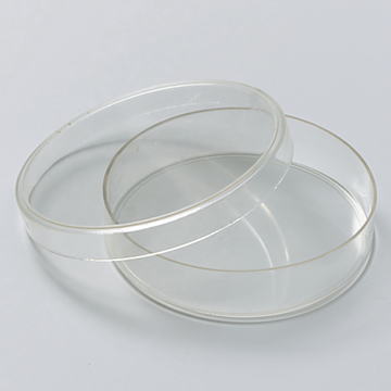 Das Bild zeigt zwei klare Petrischalen, die übereinander liegen. Diese Laborgeschirrstücke werden häufig in Experimenten und für mikrobiologische Anwendungen im Bildungswesen verwendet.