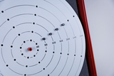 Das Bild zeigt eine Zielscheibe mit konzentrischen Ringen und verschiedenen Punktwerten, die von der Mitte nach außen reichen. Einige Projektile sind in die Scheibe eingebettet, und sie wird von einem roten Rahmen umgeben, der für Schulexperimenten geeignet ist.