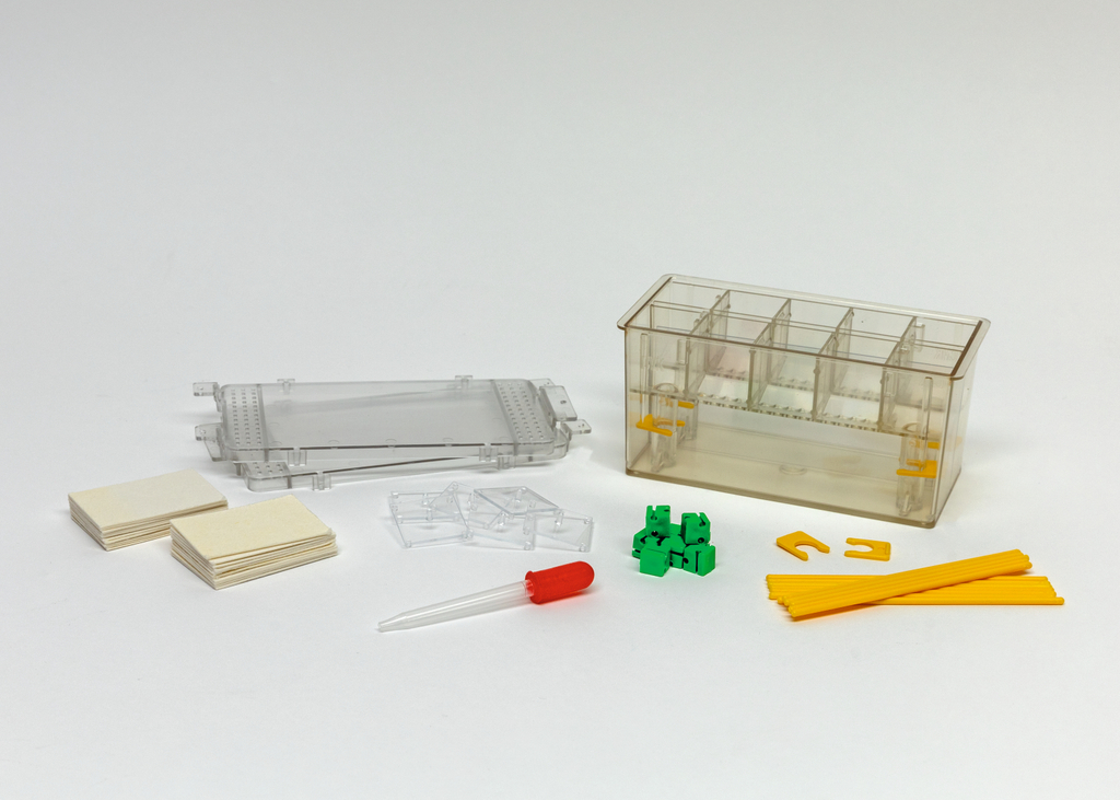 Das Bild zeigt ein Set mit Experimentierbedarf, das aus einem durchsichtigen Behälter mit Fächern, zwei Stapeln von kleinen, hellen Platten, einer Pipette, grünen Bausteinen, gelben Stäben und einigen kleinen Halterungen besteht. Es eignet sich für educational purposes zur Durchführung von Experimenten.