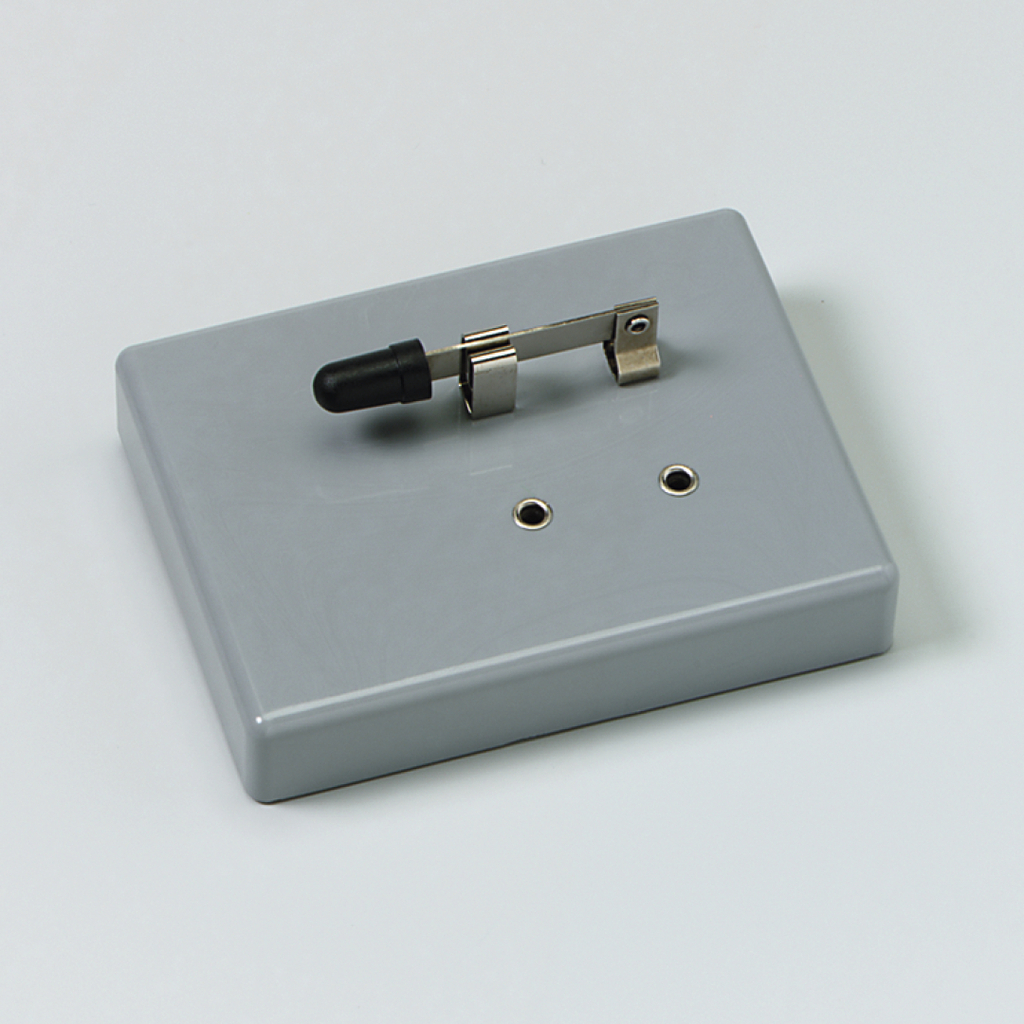 Das Bild zeigt ein graues experimentelles Gerät mit einem Schalter und zwei verfügbaren Anschlussbuchsen. Es dient vermutlich der Durchführung von elektrischen Experimenten im Bildungsbereich.