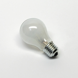 Das Bild zeigt eine transparente Glühbirne mit einem metallenen Schraubsockel. Sie eignet sich für experimentelle Anwendungen im Bildungsbereich, um Konzepte der Elektrizität und Lichttechnik zu demonstrieren.