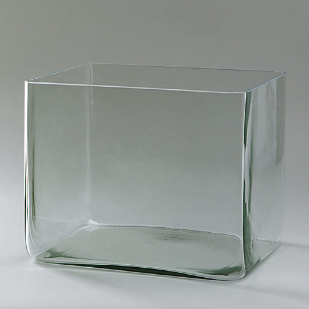 Das Bild zeigt ein klares, rechteckiges Glasbehältnis mit abgerundeten Ecken. Es eignet sich ideal für chemische Experimente oder als Laborgerät im Bildungsbereich.