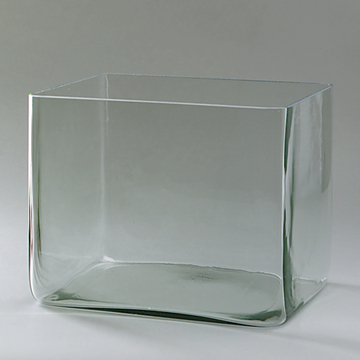 Das Bild zeigt ein klares, rechteckiges Glasbehältnis mit abgerundeten Ecken. Es eignet sich ideal für chemische Experimente oder als Laborgerät im Bildungsbereich.