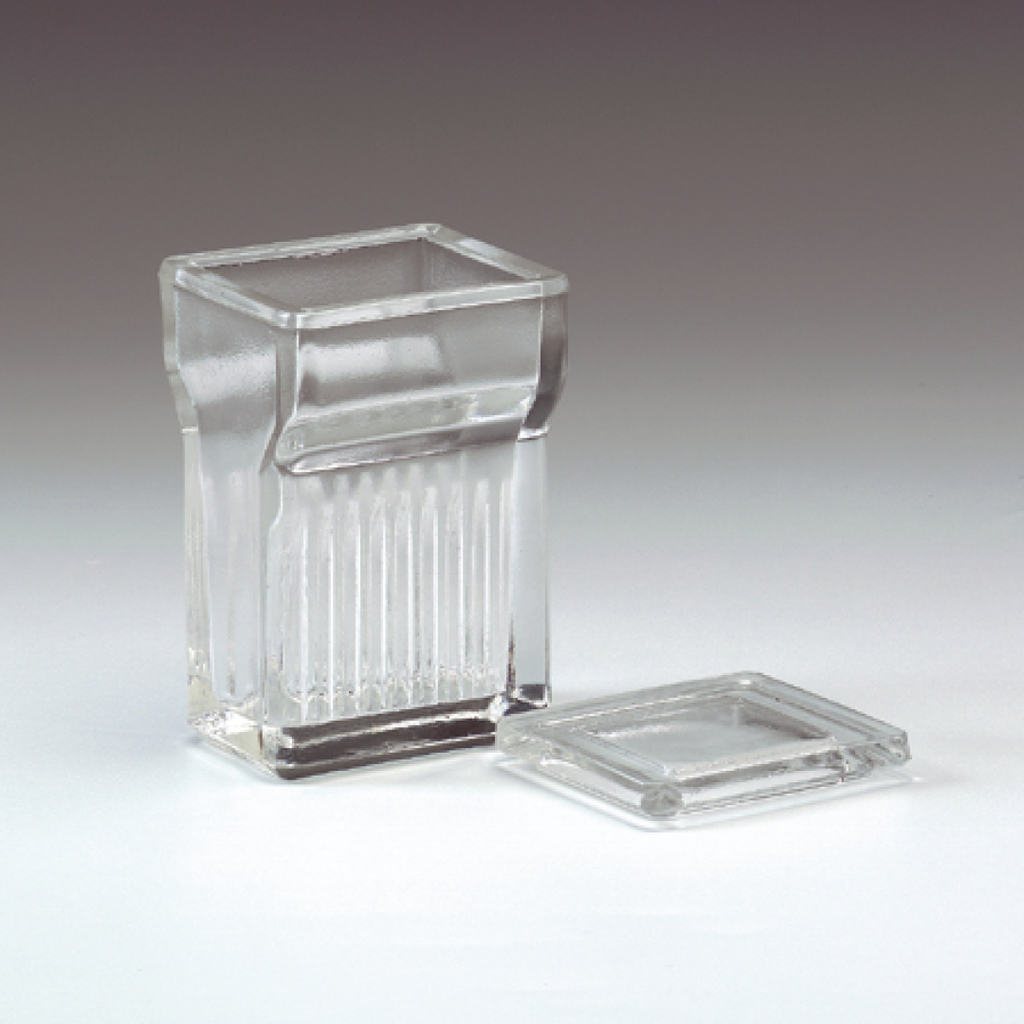 Das Bild zeigt einen klaren, rechteckigen Behälter mit einem Deckel, der aus transparentem Material gefertigt ist. Der Behälter hat eine gerippte Seitenstruktur und eignet sich wahrscheinlich für Experimente oder Aufbewahrung im Bildungsbereich.