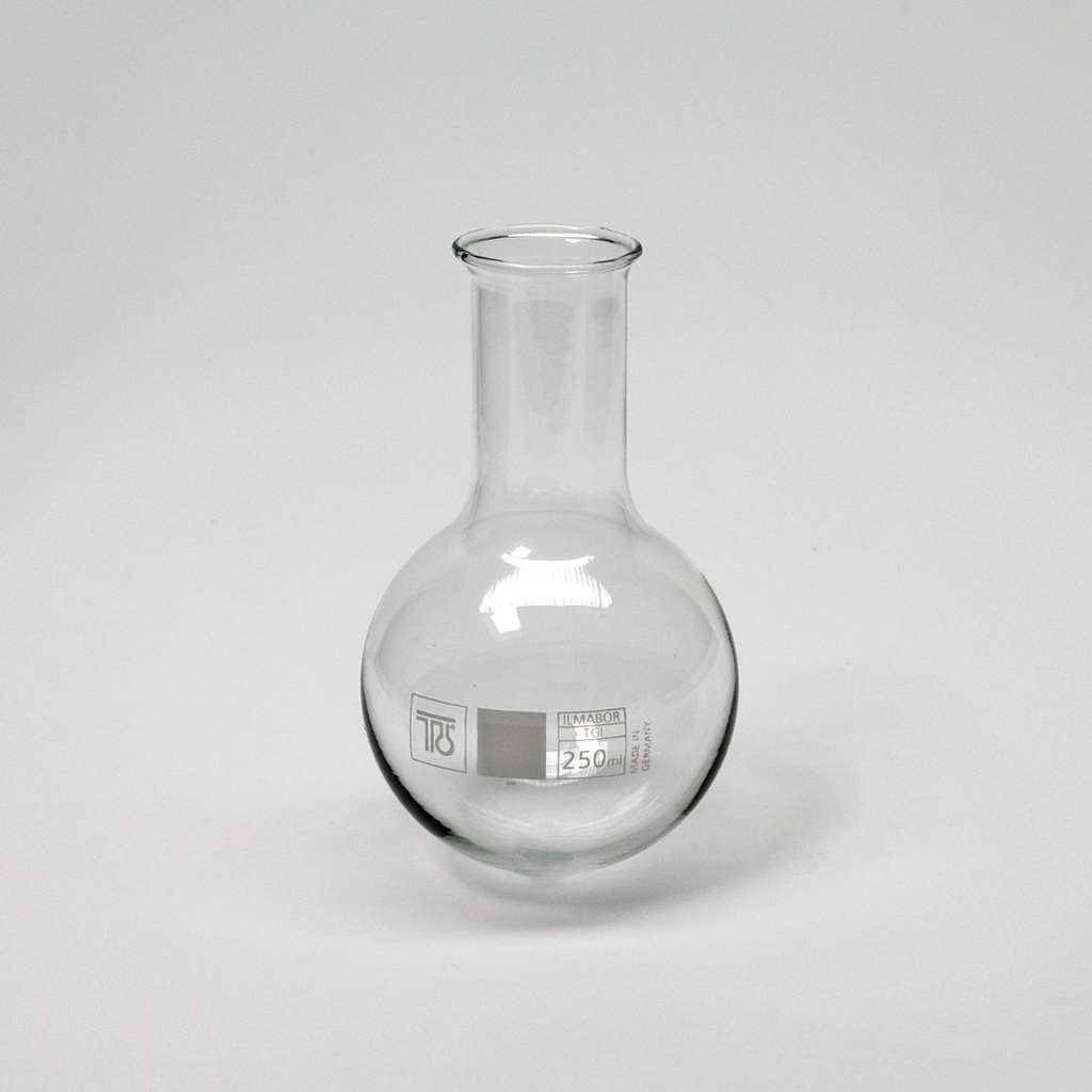 Das Bild zeigt einen klaren Erlenmeyerkolben mit einem Fassungsvermögen von 250 ml, der für Experimente im Bildungsbereich geeignet ist. Der Kolben hat eine runde Basis und einen schmalen Hals, was ihn ideal für chemische Reaktionen macht.