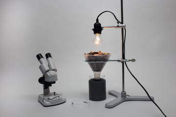 Das Bild zeigt eine Laboraufstellung mit einem Mikroskop und einem Filtrationssystem, das von einer Glühbirne beleuchtet wird. Im Trichter befindet sich eine Mischung aus verschiedenen Materialien, die möglicherweise für ein Experiment zur Untersuchung von Substanzen verwendet wird.