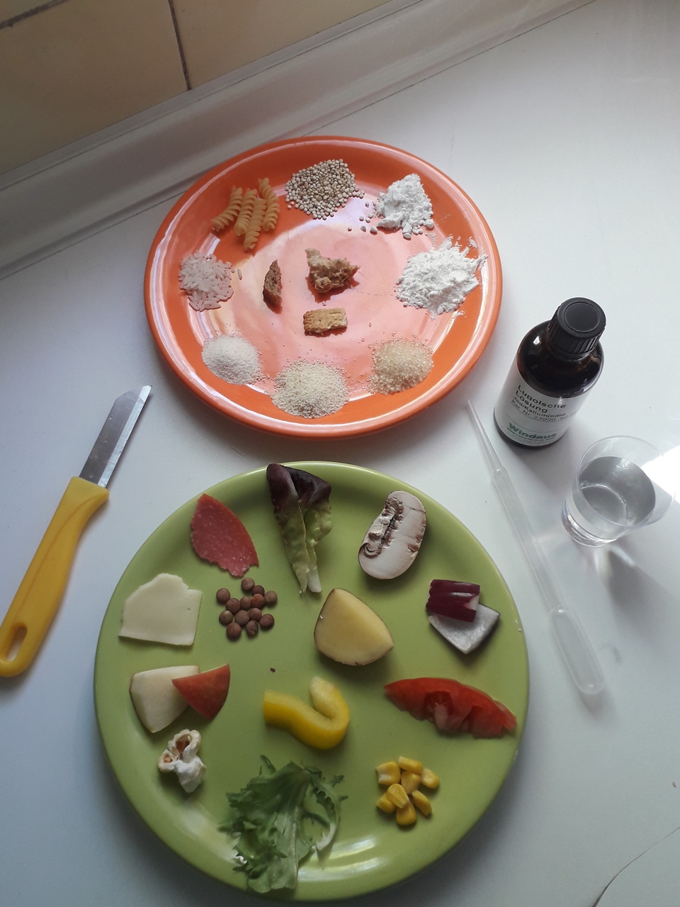 Auf zwei Tellern sind verschiedene Lebensmittel und Zutaten angeordnet, darunter Pasta, verschiedene Sorten Mehl und Gem&uuml;se. Neben einem kleinen Messbecher und einer Pipette sind au&szlig;erdem ein Fl&auml;schchen mit einer Fl&uuml;ssigkeit und ein Messer sichtbar.