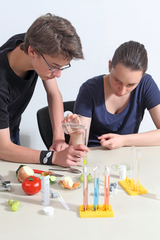 Zwei Schüler führen ein Experiment durch, wobei einer eine Flüssigkeit aus einem Behälter in ein Reagenzglas gießt. Auf dem Tisch liegen verschiedene Obst- und Gemüseproben sowie Laborutensilien, die für das Experiment verwendet werden.