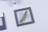 Auf einem weißen Untergrund liegen zwei Objektträger, einer davon mit einer durchsichtigen Probe. Die Probe scheint ein mineralischer Gegenstand zu sein, der für mikroskopische Beobachtungen vorbereitet wurde.