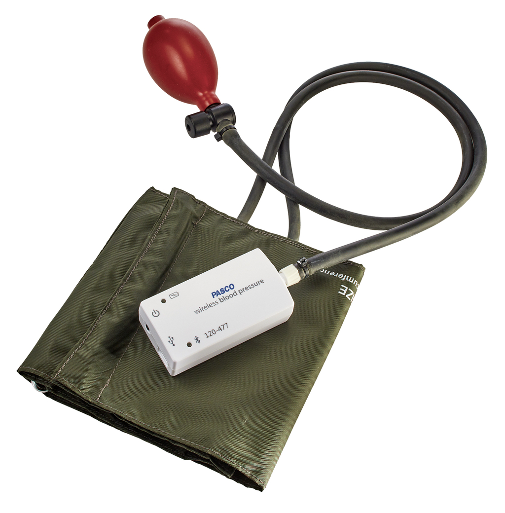 Ein digitales Blutdruckmessgerät mit einer weißen Steuereinheit liegt auf einer olivgrünen Manschette. Ein schwarzer Schlauch verbindet die Einheit mit einem roten Handpumpballon.